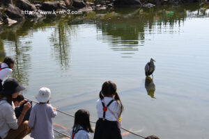 徳山動物園